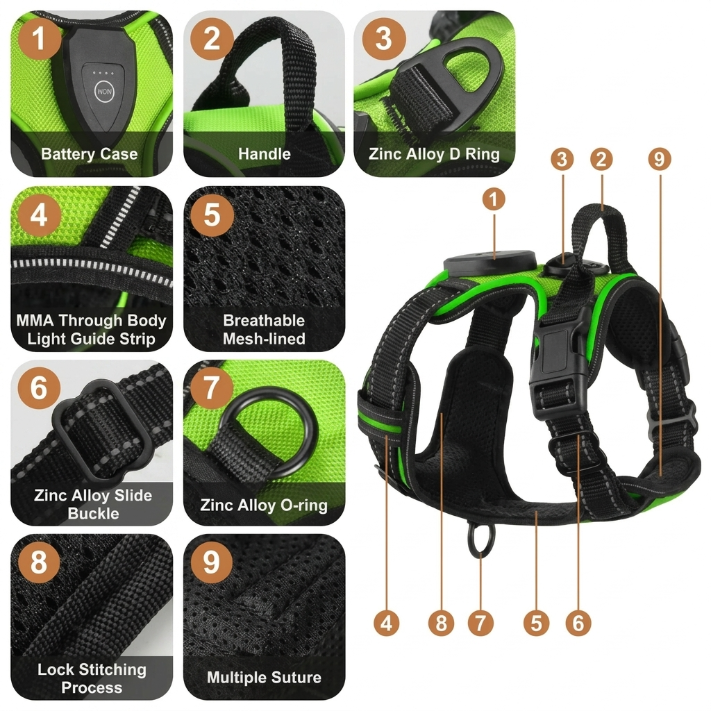 Alvoro™ SafeWalk LED Harness